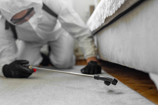 Professional Termite Control technician working in Stark County County, ND
